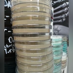 MEA Petri dishes (10 pack)